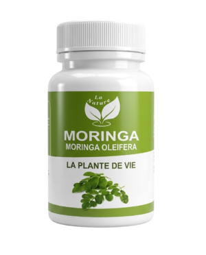 Gemini_Generated_Image_xe49luxe49luxe49-Photoroom مورينغا MORINGA