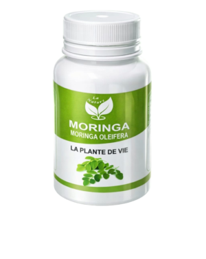 IMG_20260216_121715-Photoroom مورينغا MORINGA