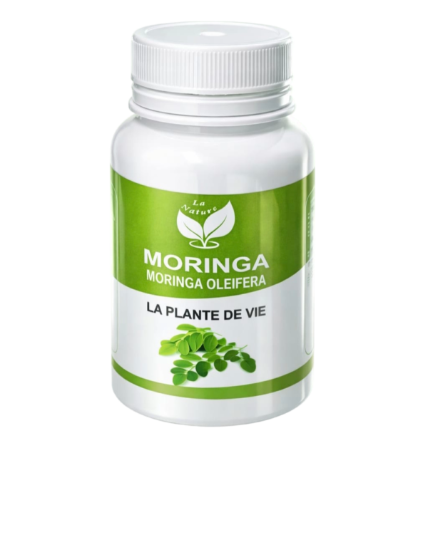 IMG_20260216_121715-Photoroom مورينغا MORINGA